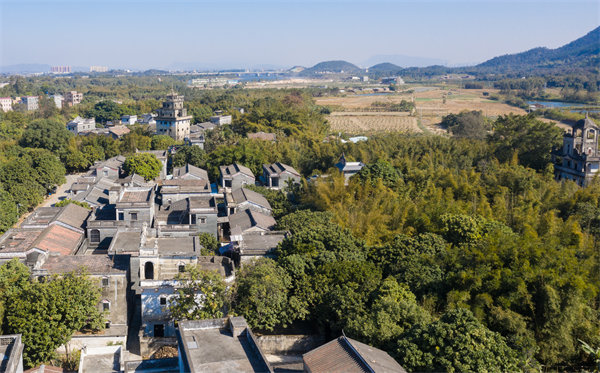 江門管理咨詢公司如何定制高效解決方案？