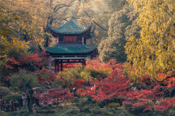 長沙薪酬咨詢公司如何設(shè)計合理的薪酬結(jié)構(gòu)與體系？