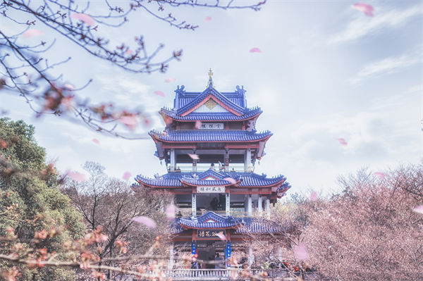 供應(yīng)鏈成本居高不下，無錫供應(yīng)鏈咨詢公司如何精準砍出利潤空間？