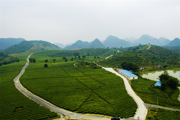 清遠(yuǎn)營(yíng)銷(xiāo)咨詢公司深挖需求，如何為品牌打造直擊消費(fèi)痛點(diǎn)的賣(mài)點(diǎn)？