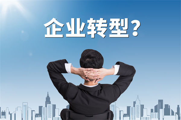 企業(yè)轉(zhuǎn)型無(wú)方向，數(shù)智化咨詢公司能否指引明路？