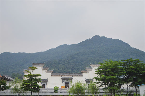 子公司各自為戰(zhàn)內(nèi)耗大，佛山集團管控咨詢公司有何整合之道？