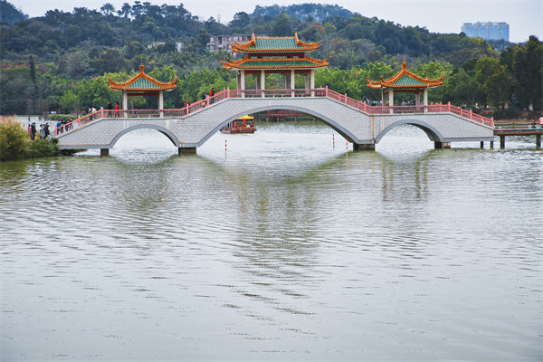 供應(yīng)鏈斷鏈頻發(fā)、交付延遲嚴(yán)重，肇慶供應(yīng)鏈咨詢公司能解嗎？