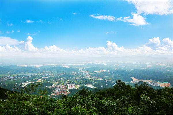 企業(yè)戰(zhàn)略飄在半空落地難，惠州戰(zhàn)略咨詢公司能錨定方向嗎？