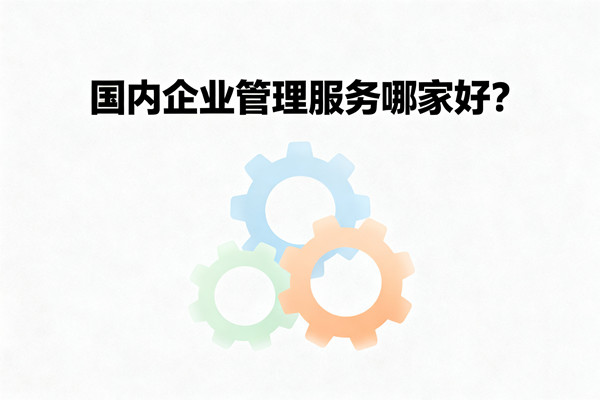 國(guó)內(nèi)企業(yè)管理服務(wù)哪家好？